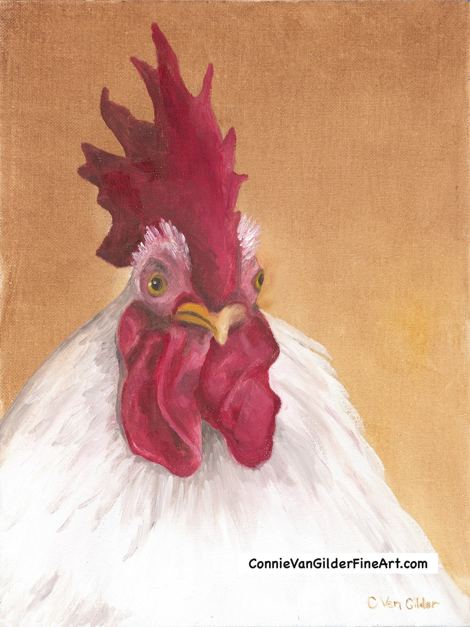 Red Beard the Rooster